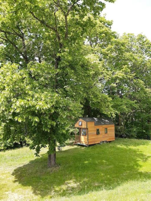 Micro Maison Bois / Tiny House Au Calme Crest Exterior foto